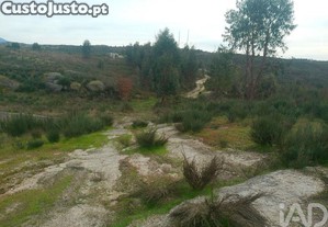 imagem_20