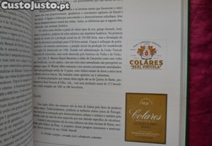 imagem_7