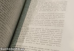 imagem_8