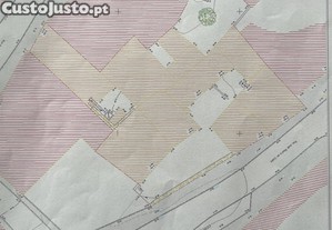imagem_10