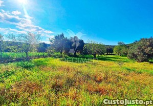 Terreno rustico em loulé com acesso directo