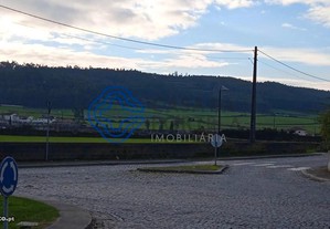 imagem_8