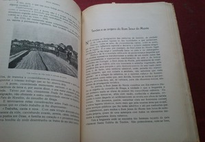 imagem_5