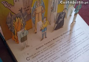 imagem_14