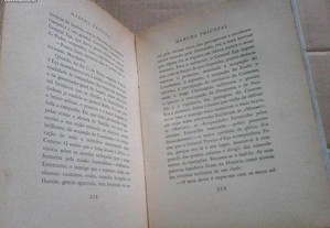 imagem_7