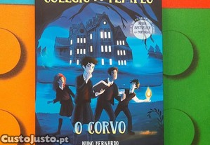 imagem_2