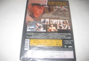 imagem_2