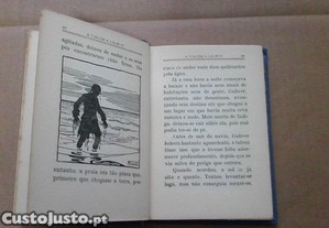 imagem_4