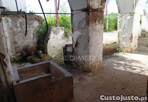 imagem_7