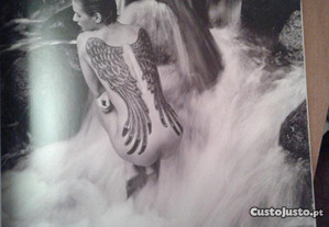 imagem_7