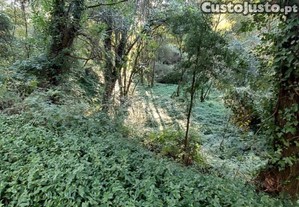Terreno Rustico Com 1490M2, Em Gondomar, Porto
