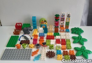 imagem_5