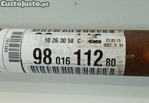 imagem_2