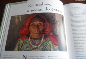 imagem_8