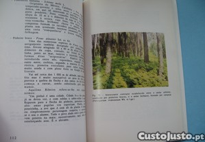 imagem_7