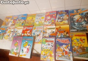 imagem_8