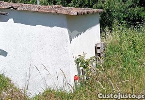 imagem_7
