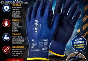 imagem_1