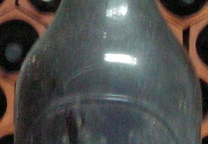 imagem_6