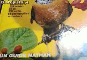 imagem_1