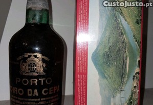imagem_1