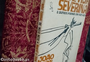 imagem_2