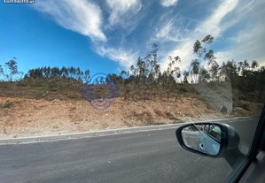 imagem_7