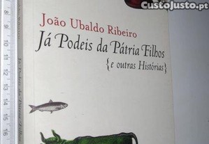 imagem_1