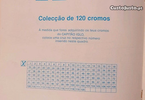 imagem_8