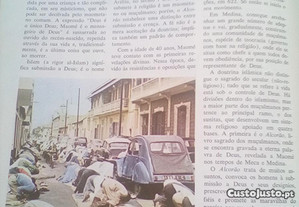 imagem_3