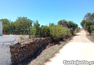 imagem_36