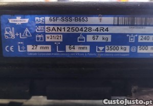 imagem_1