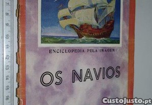 imagem_1