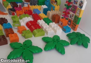 imagem_7