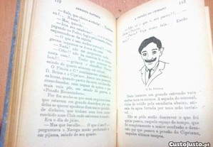 imagem_6