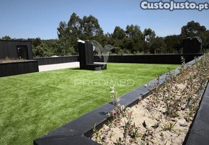 imagem_22