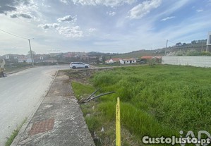 imagem_29