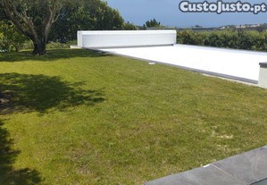 imagem_29
