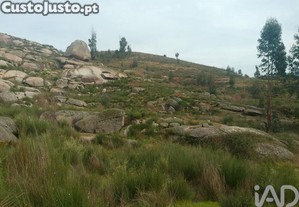 Terreno em Seixo da Beira de 16000,00 m²