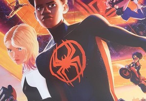Poster Homem aranha do Aranhaverso/ Fast&furios