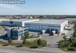 Terreno Industrial Com 38.250M2 Na Quinta Do...