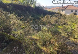 Terreno Rústico Em Arnoso Santa Eulália