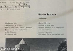 imagem_8