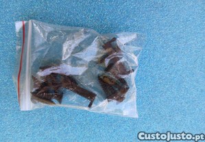 imagem_11