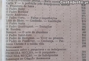 imagem_8