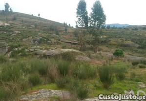 imagem_19