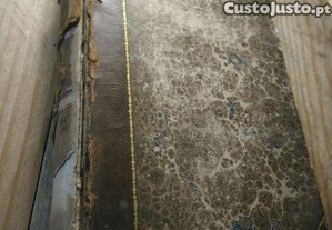 imagem_1