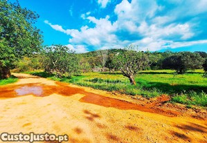 imagem_9
