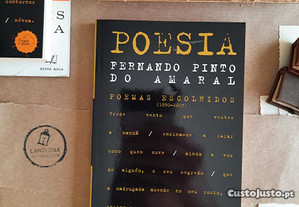 Poemas escolhidos (1990-2007)/Contos, Fernando Pinto do Amaral