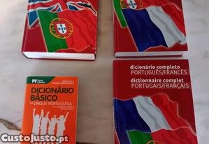 Conjunto de 4 Dicionários Diversos